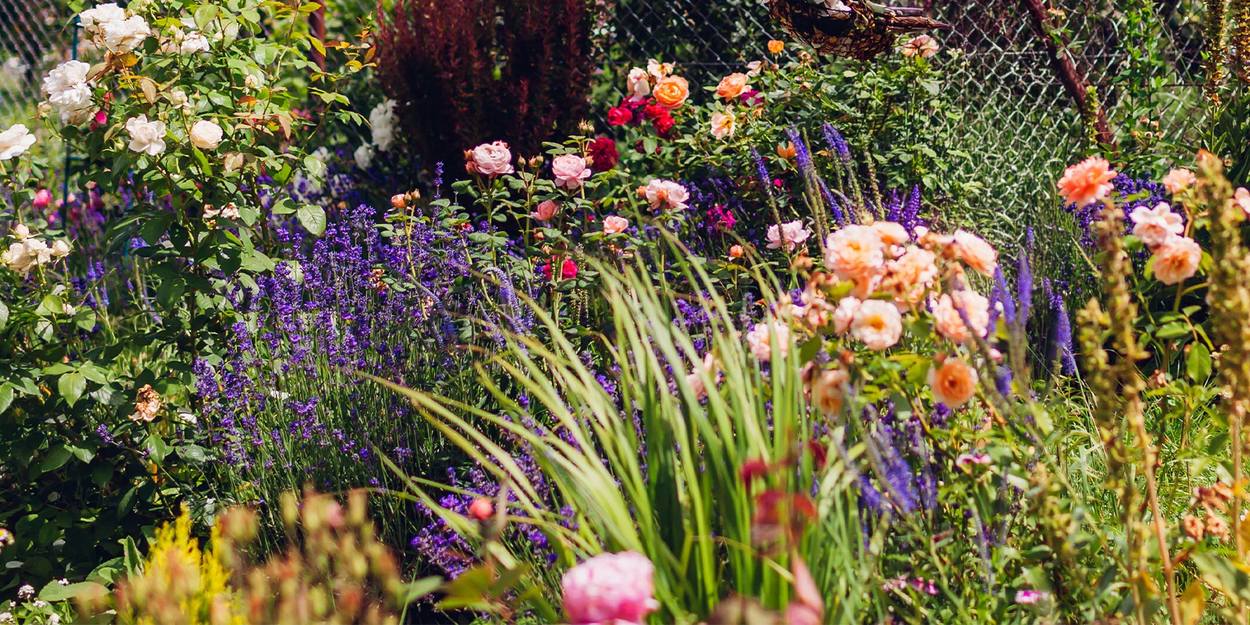 Laat je huis en tuin bloeien