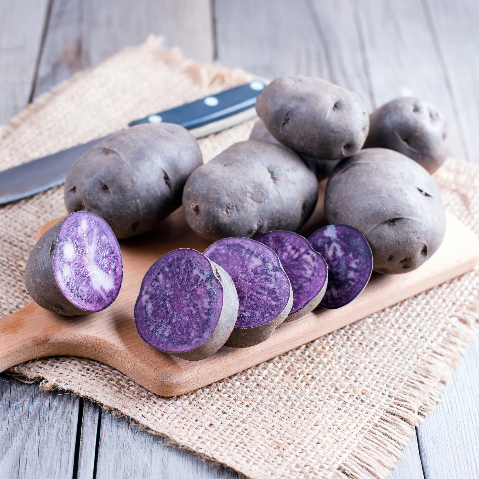 Aardappel 'Bleue de la Manche' (x10) - Image 3