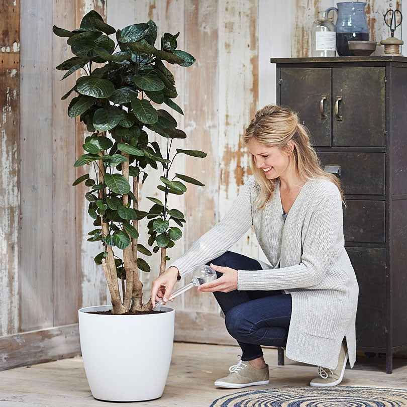 Elho Aqua Care waterdispenser - Image 5