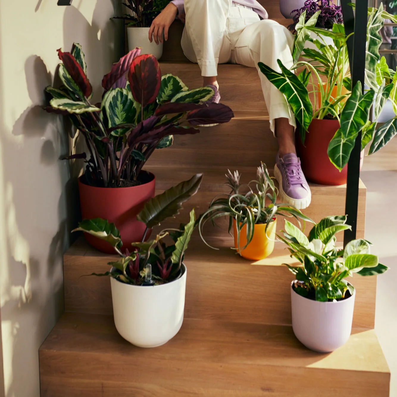 Elho Bloempot Jazz rond zijdewit - Image 7