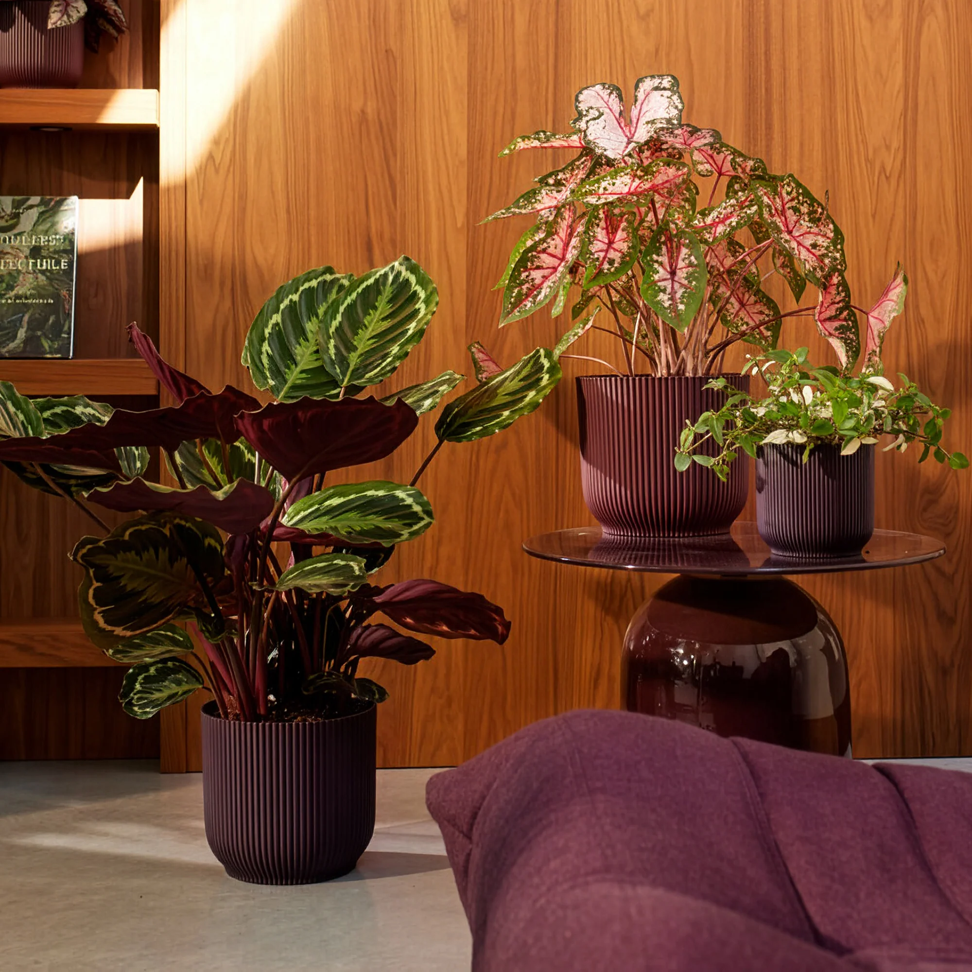 Elho Bloempot The Winery collection Bordeaux rood - Image 3