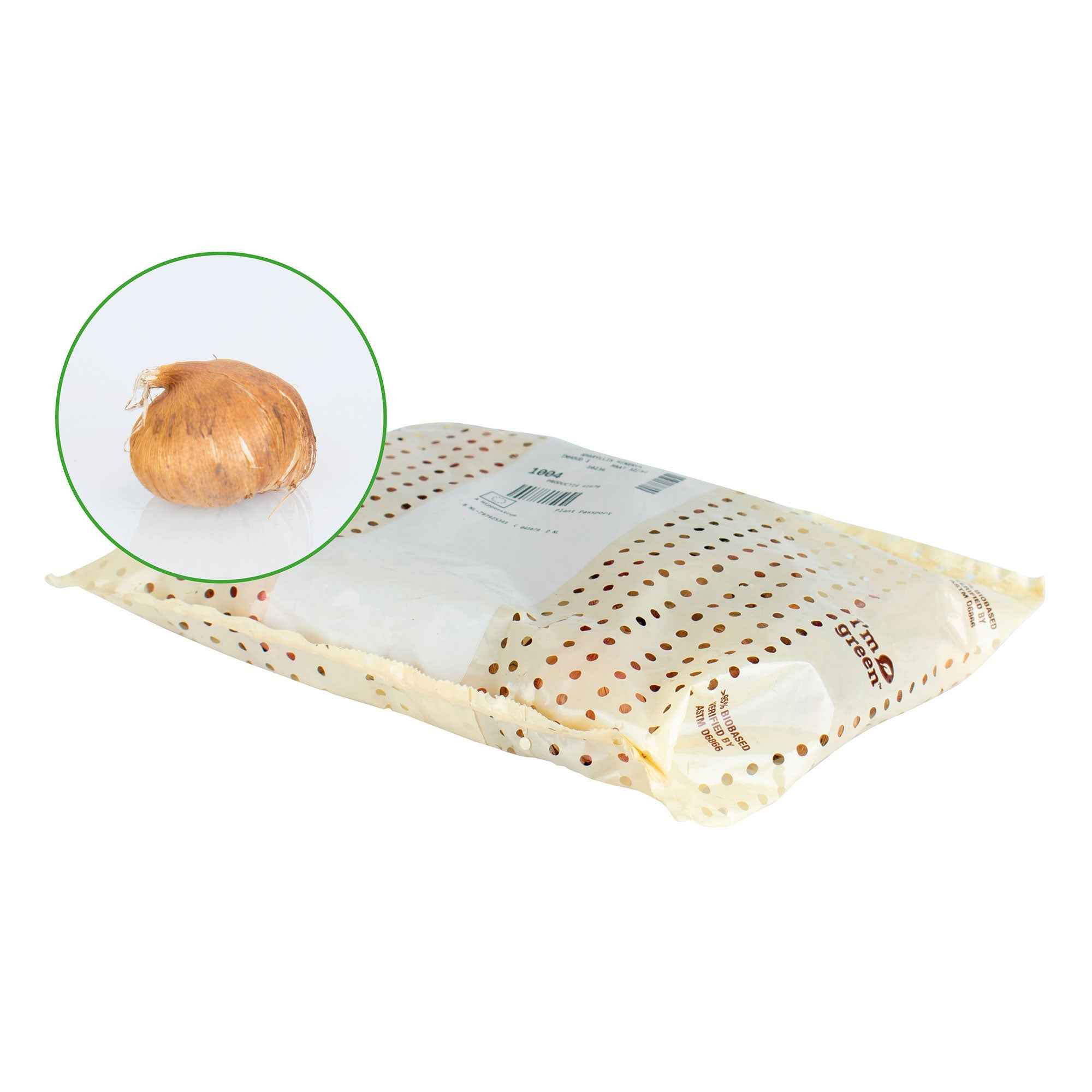 Gladiool Mix 'Glamini' (x12) - Image 3