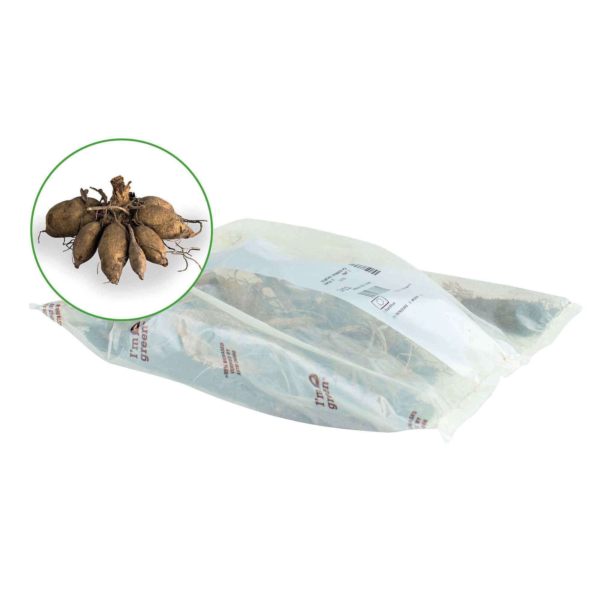 Grootbloemige Dahlia Mix - Image 4